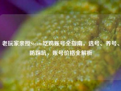 老玩家亲授Steam吃鸡账号全指南，选号、养号、防踩坑，账号价格全解析