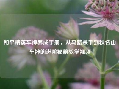 和平精英车神养成手册，从马路杀手到秋名山车神的进阶秘籍教学视频