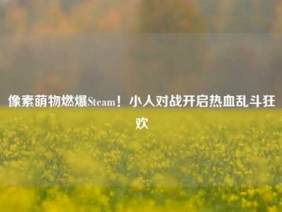 像素萌物燃爆Steam！小人对战开启热血乱斗狂欢