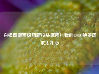 白银局遭两级萌新按头摩擦！我的CSGO绝望周末太扎心