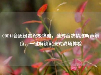 COD16音质设置终极攻略，选对音效精准听声辨位，一键解锁沉浸式战场体验