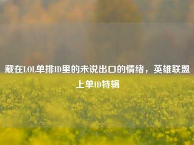 藏在LOL单排ID里的未说出口的情绪，英雄联盟上单ID特辑
