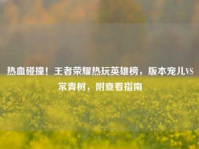 热血碰撞！王者荣耀热玩英雄榜，版本宠儿VS常青树，附查看指南