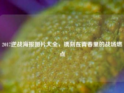 2017逆战海报图片大全，镌刻在青春里的战场燃点