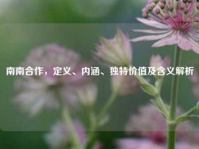 南南合作，定义、内涵、独特价值及含义解析