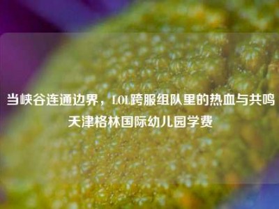 当峡谷连通边界，LOL跨服组队里的热血与共鸣天津格林国际幼儿园学费