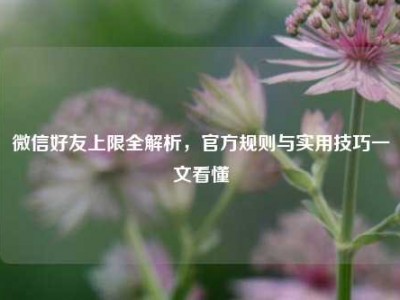 微信好友上限全解析，官方规则与实用技巧一文看懂