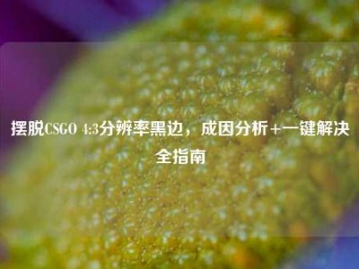 摆脱CSGO 4:3分辨率黑边，成因分析+一键解决全指南