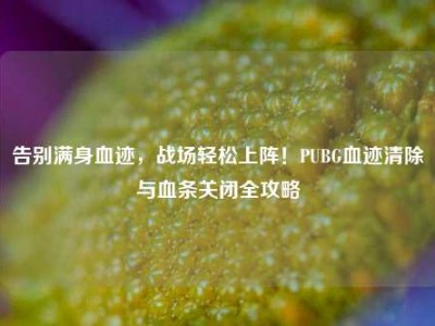 告别满身血迹，战场轻松上阵！PUBG血迹清除与血条关闭全攻略