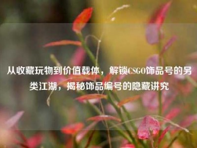 从收藏玩物到价值载体，解锁CSGO饰品号的另类江湖，揭秘饰品编号的隐藏讲究