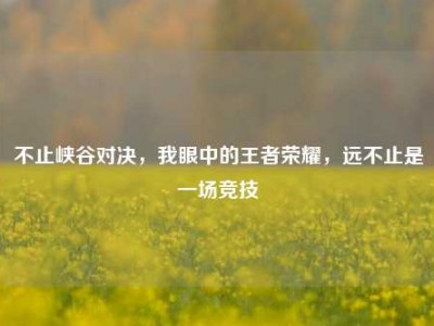 不止峡谷对决，我眼中的王者荣耀，远不止是一场竞技