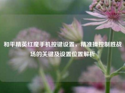 和平精英红魔手机按键设置，精准操控制胜战场的关键及设置位置解析