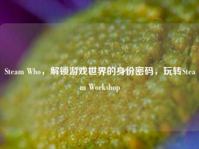 Steam Who，解锁游戏世界的身份密码，玩转Steam Workshop