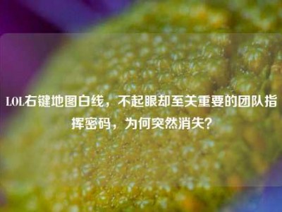 LOL右键地图白线，不起眼却至关重要的团队指挥密码，为何突然消失？