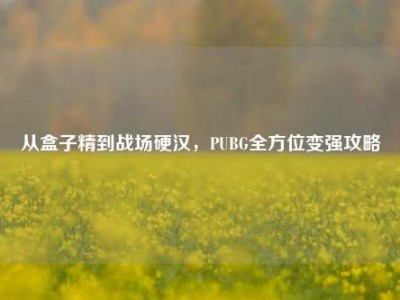 从盒子精到战场硬汉，PUBG全方位变强攻略