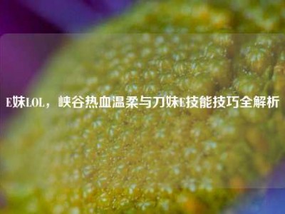 E妹LOL，峡谷热血温柔与刀妹E技能技巧全解析