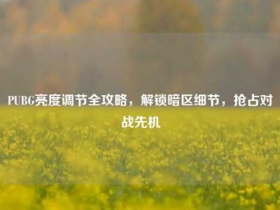 PUBG亮度调节全攻略，解锁暗区细节，抢占对战先机
