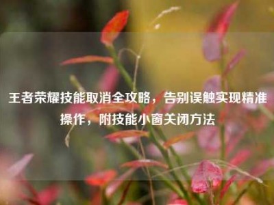王者荣耀技能取消全攻略，告别误触实现精准操作，附技能小窗关闭方法