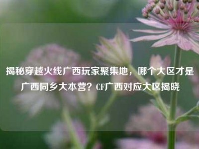 揭秘穿越火线广西玩家聚集地，哪个大区才是广西同乡大本营？CF广西对应大区揭晓