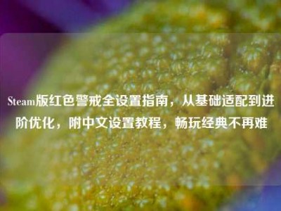 Steam版红色警戒全设置指南，从基础适配到进阶优化，附中文设置教程，畅玩经典不再难