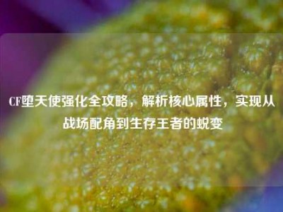 CF堕天使强化全攻略，解析核心属性，实现从战场配角到生存王者的蜕变