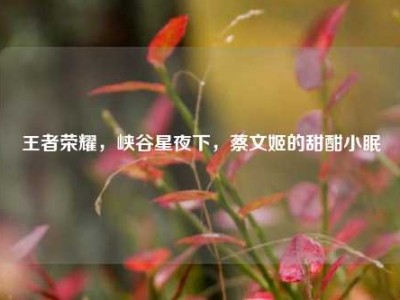 王者荣耀，峡谷星夜下，蔡文姬的甜酣小眠