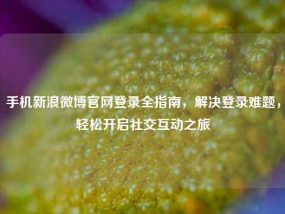 手机新浪微博官网登录全指南，解决登录难题，轻松开启社交互动之旅