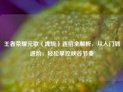 王者荣耀元歌（庞统）连招全解析，从入门到进阶，轻松掌控峡谷节奏