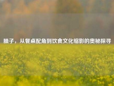 臊子，从餐桌配角到饮食文化缩影的奥秘探寻