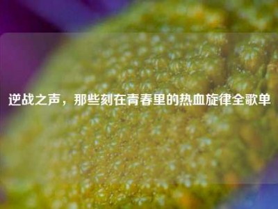 逆战之声，那些刻在青春里的热血旋律全歌单