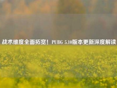 战术维度全面拓宽！PUBG 5.10版本更新深度解读