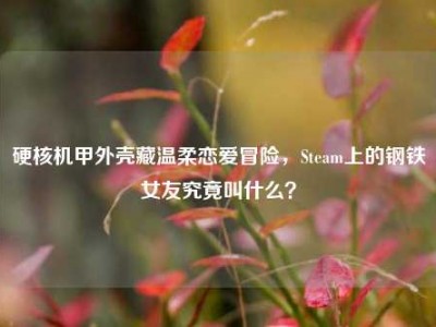 硬核机甲外壳藏温柔恋爱冒险，Steam上的钢铁女友究竟叫什么？
