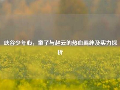 峡谷少年心，童子与赵云的热血羁绊及实力探析