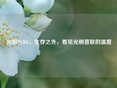 光明PUBG，生存之外，看见光明普联的温度