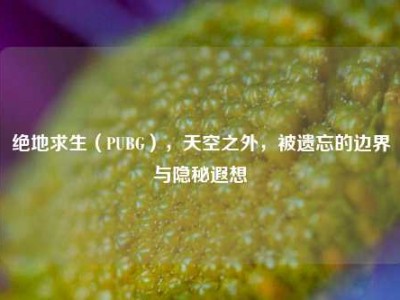 绝地求生（PUBG），天空之外，被遗忘的边界与隐秘遐想