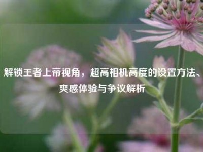 解锁王者上帝视角，超高相机高度的设置方法、爽感体验与争议解析