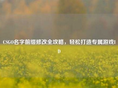CSGO名字前缀修改全攻略，轻松打造专属游戏ID