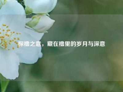 探橹之意，藏在橹里的岁月与深意