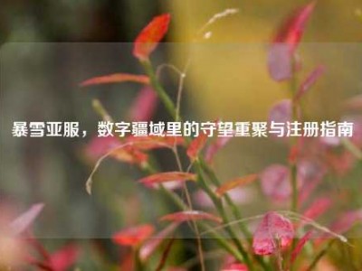 暴雪亚服，数字疆域里的守望重聚与注册指南