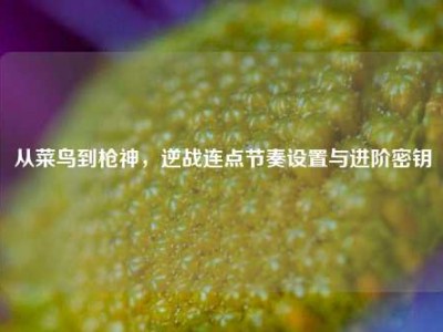 从菜鸟到枪神，逆战连点节奏设置与进阶密钥