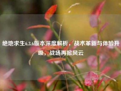 绝地求生6.3.6版本深度解析，战术革新与体验升级，战场再掀风云