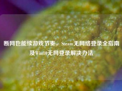 断网也能续游戏节奏，Steam无网络登录全指南及Win10无网登录解决办法