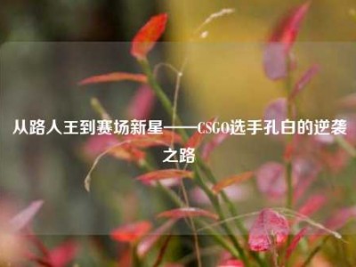 从路人王到赛场新星——CSGO选手孔白的逆袭之路