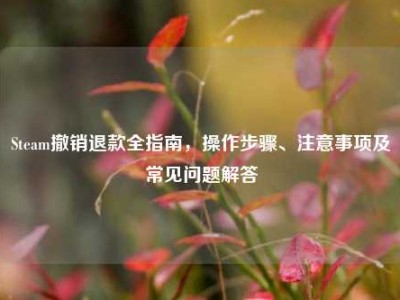 Steam撤销退款全指南，操作步骤、注意事项及常见问题解答