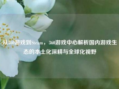 从360游戏到Steam，360游戏中心解析国内游戏生态的本土化深耕与全球化视野