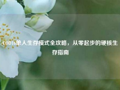 COD16单人生存模式全攻略，从零起步的硬核生存指南