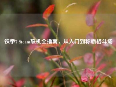 铁拳7 Steam联机全指南，从入门到称霸格斗场