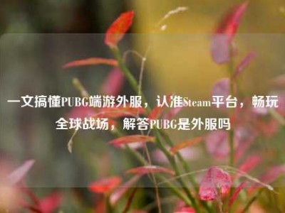 一文搞懂PUBG端游外服，认准Steam平台，畅玩全球战场，解答PUBG是外服吗