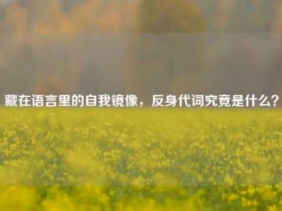 藏在语言里的自我镜像，反身代词究竟是什么？