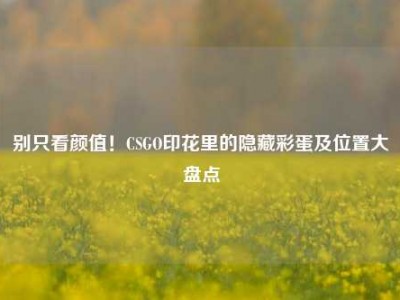 别只看颜值！CSGO印花里的隐藏彩蛋及位置大盘点